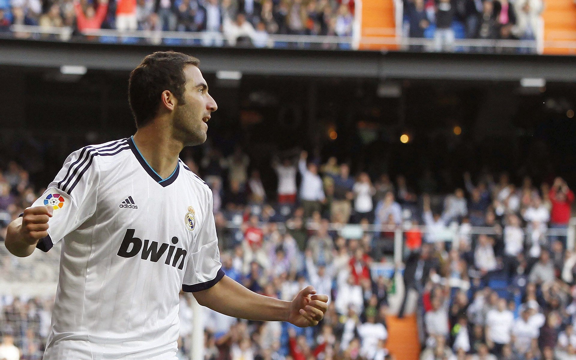 广东队主帅获赞扬，球队士气高涨，广东队主力是谁